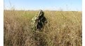 Маскировочный халат Taganrog Кикимора – купить по цене 3550 руб. в интернет-магазине в городе Киров картинка 13