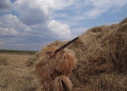 Маскировочная одежда для охоты в интернет-магазине в Кирове, купить маскировочную сеть с доставкой картинка 28